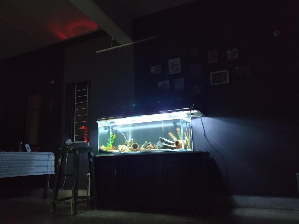 Monkey Mind Hostel Márgáo Kültér fotó